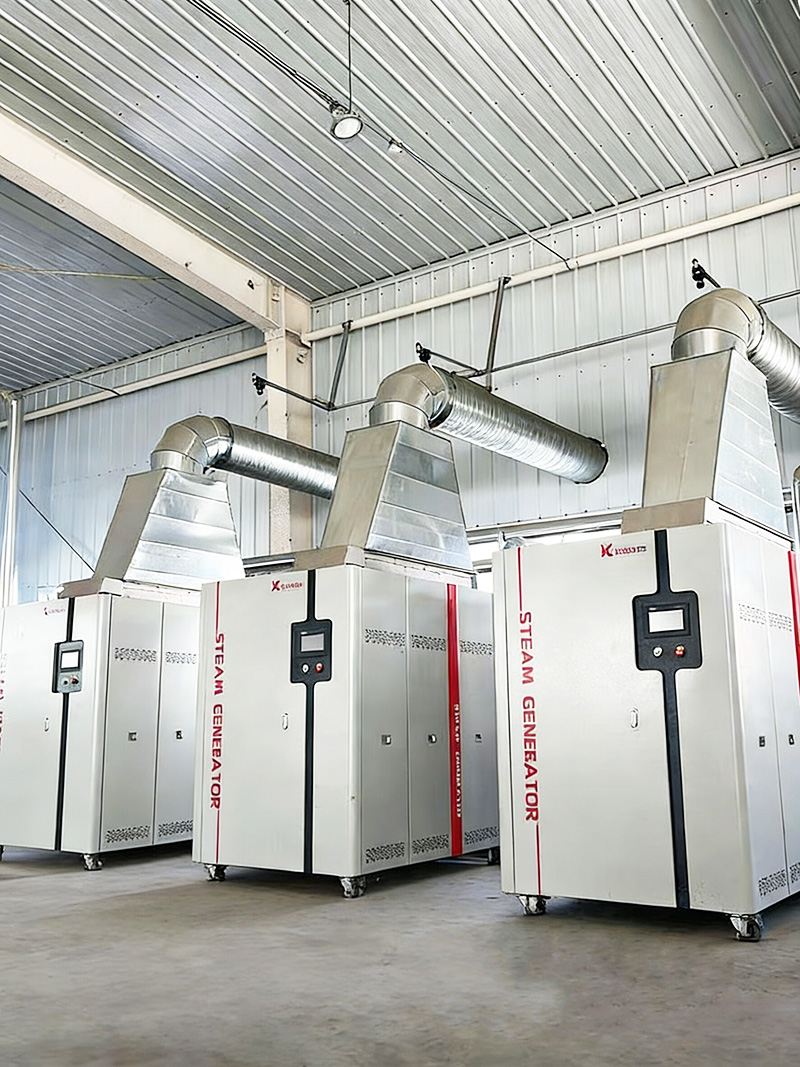 3台1.3吨凯大蒸汽发生器赋能农副产品精深加工，降本增效